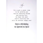 Mill Brook Studio Birthday Greeting Cards & Envelopes - 5-3/8" x 7-3/4" - Balloons - 18 Pack-Printed on premium uncoated paper