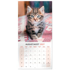 Mead 2027 Decorative Wall Calendar - 12" x 12" - Kittens - Bilingual-Covers a 16 month calendar period to support long term planning needs