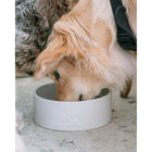 Dexypaws White Ceramic Dog Bowl - 50 oz-Holds up to 50oz
