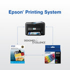 Epson T222 Ink Cartridge - Standard Capacity - Black-Convenient individual ink cartridges