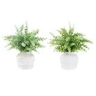 Monarch Specialties 9368 16" Tall Artificial Eucalyptus Grass - White Pots - Set of 2-This set of 2 artificial plants features 16" tall eucalyptus grass designed to bring vertical interest and greenery to any table or surface