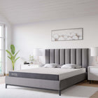 Modway Mila 6" Queen Mattress-5.25" Responsive Foam