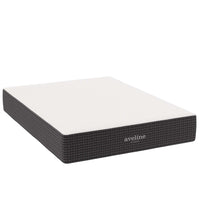 Modway Aveline 12" Memory Foam Queen Mattress-4" Cooling Gel-Infused Memory Foam