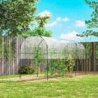 Outsunny Tunnel Tomato Greenhouse with 4 Hoops and Top Tap- Steel frame for strong standing structure
 