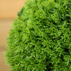 HOMCOM 43.3" Decorative Artificial Cypress Tree in Pot - Green-Colour: Green 
