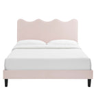 Modway Current Performance Velvet Full Platform Bed with Black Wood Legs - Pink-Black Wood Legs With Non-Marking Caps