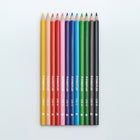 Staedtler Triangular Water Color Pencil - Assorted Colours - 12 Pack-Brilliant colours