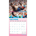BrownTrout 2026 Otter Olympics Monthly Hanging Wall Calendar - 12" W x 24" H  - English-Large, Roomy Day Blocks - All major holidays and moon phases listed, with plenty of room for writing notes and appointments