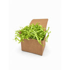 Wamaco Jazz Zig-Zag Paper Shred - 2 lb - Lime Green-Convenient –  Our 2-pound bags lower your packaging costs while taking up less storage space