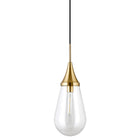 Hudson&Canal Ambrose 8.63" Wide Pendant with Glass Shade - Brass/Clear-Rated for one 60W incandescent bulb - 9W LED bulb, 13W fluorescent (CFL) bulb, or 9W self-ballasted LED bulb, E26-base bulb, Bulb not included