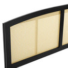 Modway Halcyon Cane Full Headboard - Black-Rubberwood and Rattan Construction