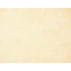 Geographics - Papier parchemin - 8.5" x 11" - Paquet de 50-Compatible avec les imprimantes à jet d'encre et laser