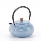 Minimal Enamelled Cast Iron Teapot - Dot Blue - 0.6 L-Beautiful glossy enameled surface looks like ceramic