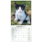 Mead 2027 Decorative Wall Calendar - 12" x 12" - Kittens - Bilingual-Bilingual layout supports English and French for Canadian environments