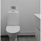 Cosco Brushed Metal Please Do Not Flush Indoor Sign - 6" x 4"-4