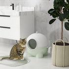 PawHut Large Enclosed Cat Litter Box with Lid - Green-Scoop attached to the side for a more cleanly design 