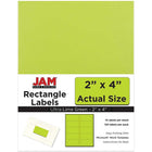 JAM Paper Mailing Address Labels, 2 x 4, AstroBrights Terra Lime Green, 2 sets of 120 (302724405g)-4" x 2"