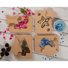 Learn Well Little Looking Shapes - Nature-The opportunities for learning through play are endless