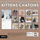 DateWorks 2026 16-Month Wall Calendar - 12" x 12" - Cuddly Kittens - Bilingual-13 High Quality Images printed on Premium Paper
