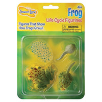 Insect Lore Frog Life Cycle Stages Figures-Age group and grade: Ages 4+ and grades pre school - 8th