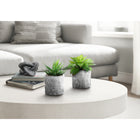 Monarch Specialties 6" Artificial Indoor Succulent - Table - Grey Cement Pots - Set of 2-Each set includes two 7" tall faux succulents nestled in 4" grey marble-look cement pots with pebbles for an effortless realistic look