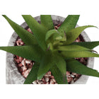 Monarch Specialties 6" Artificial Indoor Succulent - Table - Grey Cement Pots - Set of 2-7