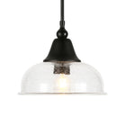 Hudson&Canal Magnolia 10.75" Wide Pendant with Glass Shade - Blackened Bronze/Seeded-Includes an adjustable 8 ft. cord