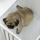PawHut 31.5" L Dog Crate Furniture with Double Doors - White-Colour: White 