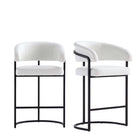 Manhattan Comfort Augusta 22.8" Modern Leatherette Upholstered Counter Stool - White - 2 Pack-Modern Counter Stool with Backrest Perfect for Bar and Kitchen Use