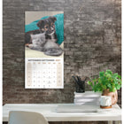 Mead 2027 Decorative Wall Calendar - 12" x 12" - Paw Pals - Bilingual-Closed calendar measures 12"L x 12"W for easy wall display