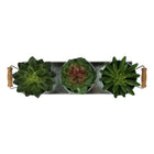 Monarch Specialties 9372 6" Tall Artificial Succulents - Silver Metal Pots - Set of 3-Each artificial succulent is placed in a silver metal pot and arranged in a coordinating metal tray with side handles, adding both structure and visual interest