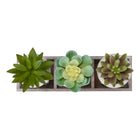 Monarch Specialties 9373 6" Tall Artificial Succulents - Beige Pots - Set of 3-Each artificial succulent is housed in a textured beige pot and arranged neatly in a light wood tray with divided compartments for an organized, balanced look