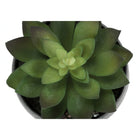 Monarch Specialties 6" Artificial Indoor Succulent Green Plants - Table - Grey Cement Pots - Set of 3-9
