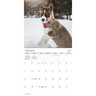 DateWorks 2026 16-Month Mini Wall Calendar - 7" x 7" - Puppies - English-September 2025 - December 2026