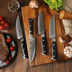 Minimal 4-Pieces Damascus Black G10 Steak Knife Set, Service for 4-Overall Length: 230mm with Blade Length: 120mm