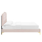 Modway Amber Full Platform Bed with Gold Metal Legs - Pink-Weight Capacity: 800 lb