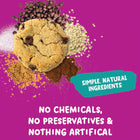 Allergy Smart Cookies - Chocolate Chip - 28g - 40 Pack-Celiac Safe, Office Safe, School Safe, Kosher & Vegan