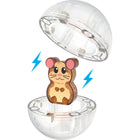 Magna-Tiles Hamster Ball 13-Piece Magnetic Construction Set-Always Compatible: All pieces are compatible with and complementary to all other MAGNA-TILES sets, including all Classic MAGNA-TILES sets