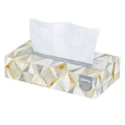 Kleenex Professional Facial Tissue - 2-Ply - Flat Facial Tissue Boxes for Business - White-2-Ply