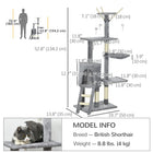 PawHut 53" Large Activity Centre Cat Tree Tower with Condo - Grey-Includes 4 dangling fake mice toys, sure to peak your cat's interest 