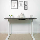 MotionGrey 55" Motion Electric Height Adjustable Standing Desk with German Dual Motors for Home and Office- Black Top- White-MDF surface desk top with industrial grade steel standing desk leg frame