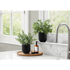 Monarch Specialties 11" Artificial Indoor Eucalyptus Grass - Table - Black Pots - Set of 2-Conveniently potted in sturdy 5" black pots, these indoor faux plants have adjustable leaves with variegated green shades that create a realistic look and feel
