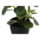 Monarch Specialties 14" Artificial Indoor Ficus - Table - Black Pots - Set of 2-No assembly required and backed by a 5 year limited warranty against any defects for a sustainable and environmentally friendly decorative accent