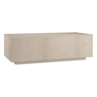 Hudson&Canal Paxton 48"W Rectangular Coffee Table - Alder White-A modern contemporary design for your living room, den, and more