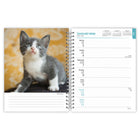 BrownTrout Kittens 2026 16-Month Planner-Durable Construction - Wire-bound, thick, durable covers include a large pocket in the back