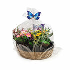 Cellophane Basket Bags, Clear, 10" x 20", 100 Pack-Ideal for use as liners, gift baskets and more