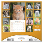 Mead 2027 Decorative Wall Calendar - 12" x 12" - Kittens - Bilingual-Features full colour monthly artwork designed to enhance walls and shared spaces