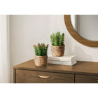 Monarch Specialties 9367 7" Tall Artificial Succulents - Brown Cement Pots - Set of 2-Made with environmentally friendly materials, this artificial plant set delivers a sustainable and stylish décor solution