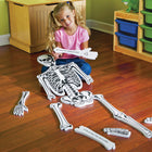 Learning Resources Skeleton Foam Floor Puzzle-Encourages Kid's to explore the human body by piecing together a life size puzzle