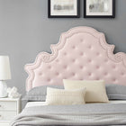 Modway Gwyneth Tufted Performance Velvet Queen Platform Bed with Black Wood Legs - Pink-Wood Slat Support System